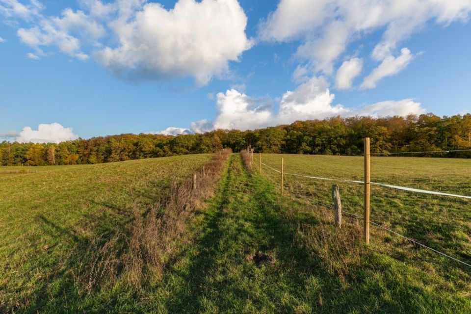 Pferdekoppeln, Foto: TMB Archiv/Steffen Lehmann, Lizenz: TMB